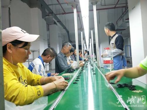 長安家園喜迎電子廠入駐，產業興農助力鄉村振興，點亮日用家電零售新篇章